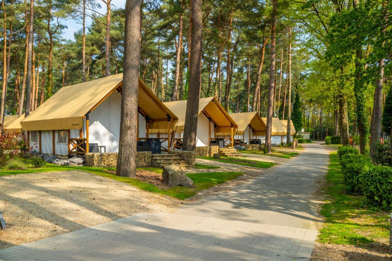Europarcs Hoge Kempen Ferienpark Zutendaal